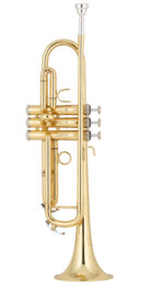 نمای کامل و اصلی ترومپت شاتو Château Trumpet CTR-28L