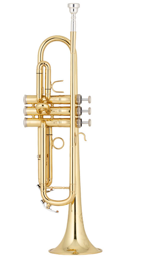 نمای کامل و اصلی ترومپت شاتو Château Trumpet CTR-28L