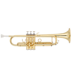 نمای-کامل-و-اصلی-ترومپت-شاتو-Chateau-Trumpet-CTR-28L-rotated