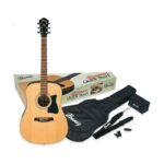 نمای کامل و اصلی گیتار آکوستیک IBANEZ V50NJP - NT