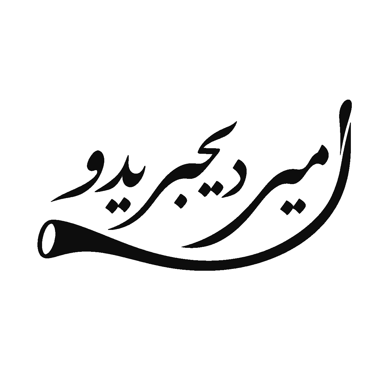 امیر-دیجیریدو
