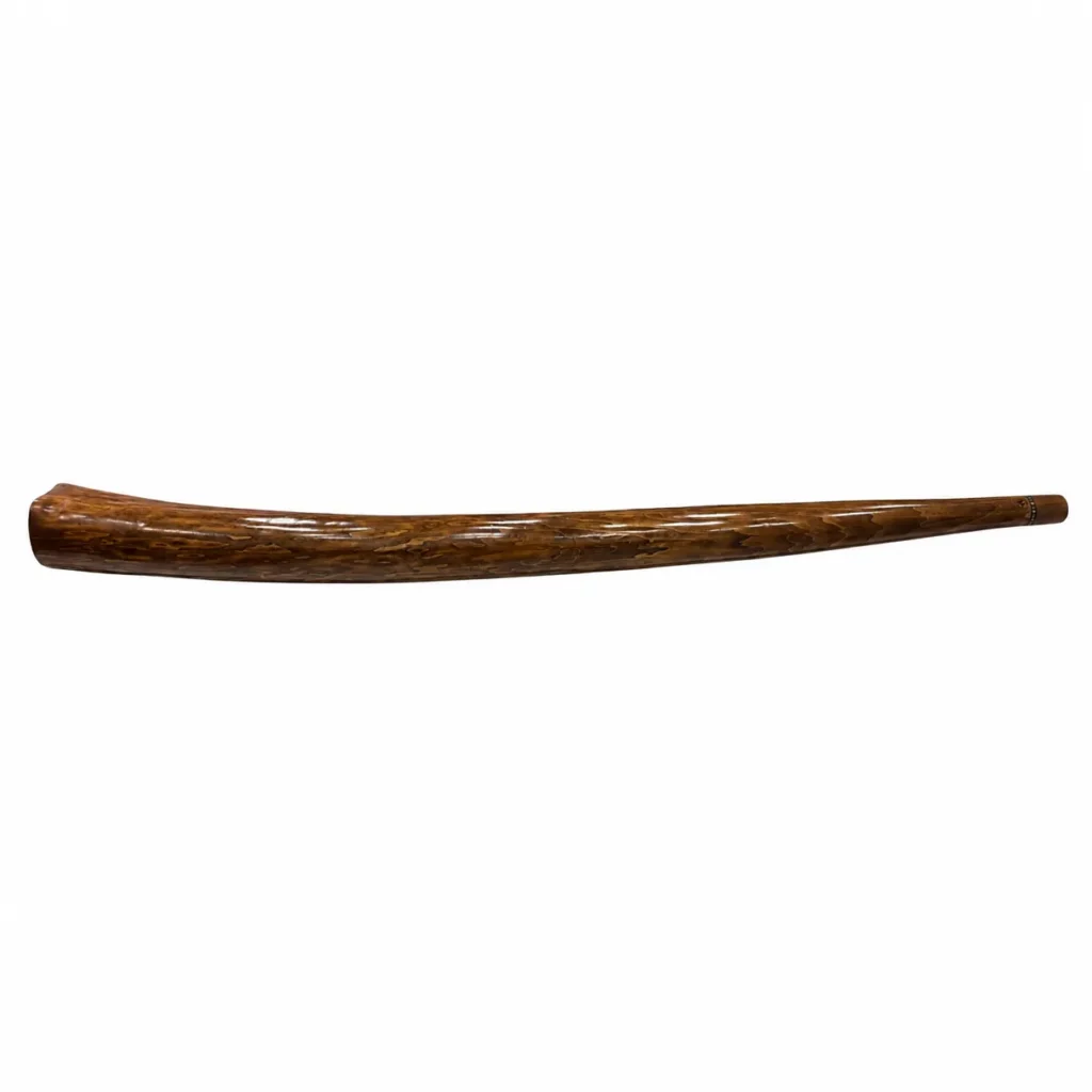 دیجیریدو