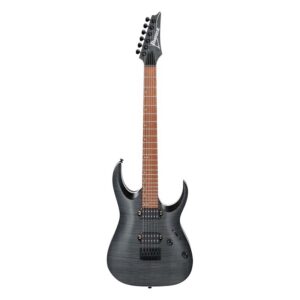 نمای کامل و اصلی گیتار الکتریک Ibanez RGA42FM-TGF
