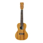 یوکلله-Cordoba-مدل-20CM