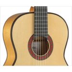 بادی گیتار Alhambra 10FC