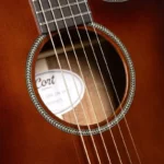 سیم ها گیتار آکوستیک Cort ES-GA4 SPECIAL - BRSG