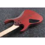Ibanez RG421PB-CHF1