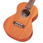بریج یوکلله Cordoba 20TM Tenor