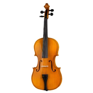 نمای کامل و اصلی ویولن Hofner H11 V4.4